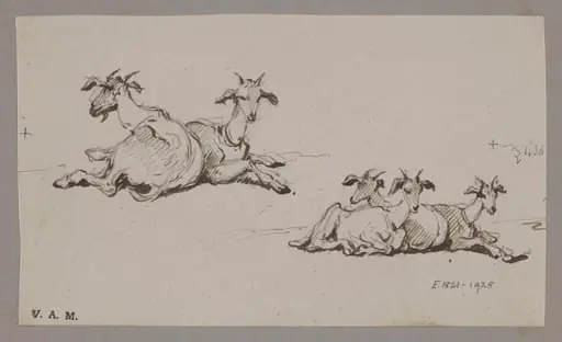 Two groups of goats, by George Chinnery