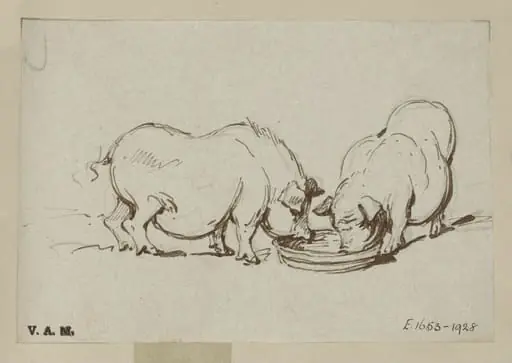 Two pigs feeding, by George Chinnery