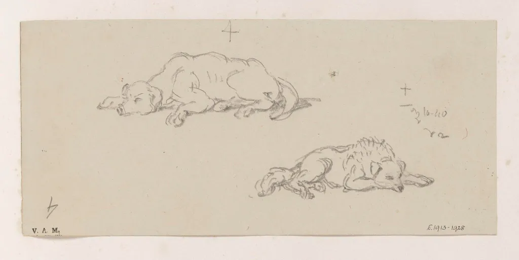 Two studies of a sleeping dog, by George Chinnery, 10