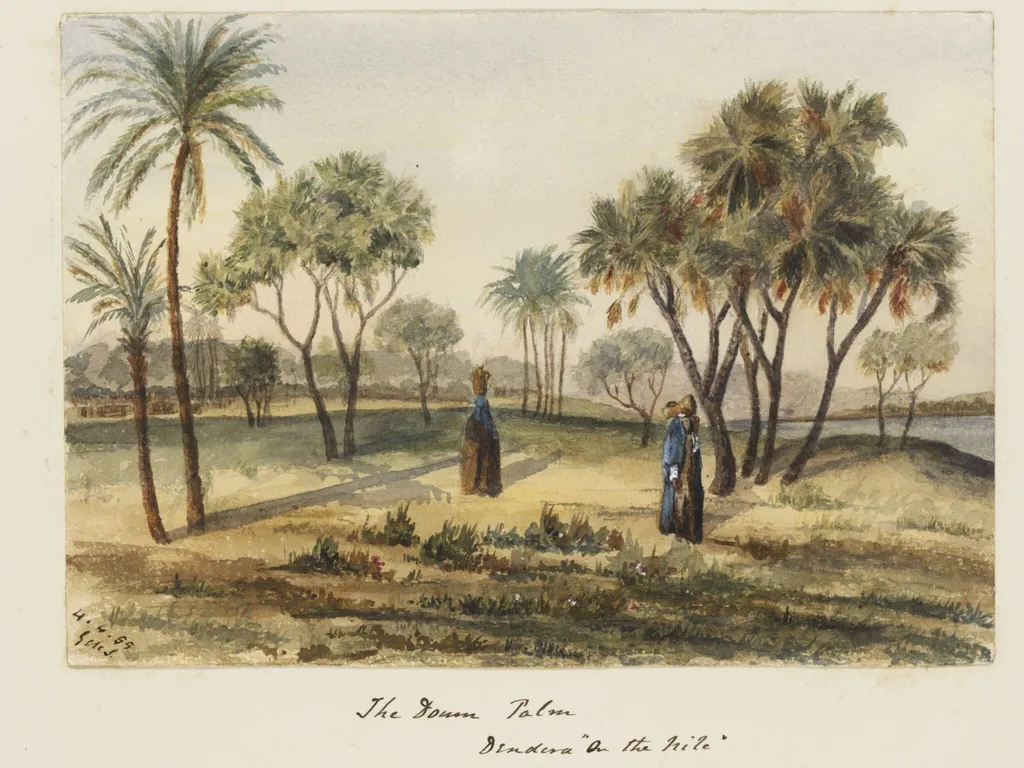 `The Doum Palm Dendera "On the Nile", by George de Sausmarez, watercolor, 1855