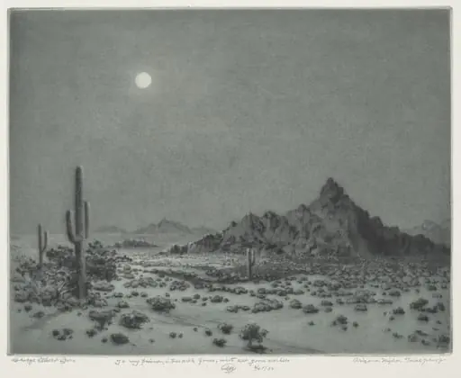 Arizona Night, by George Elbert Burr
