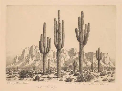 Desert Sentinels, Apache Trail, Arizona, by George Elbert Burr