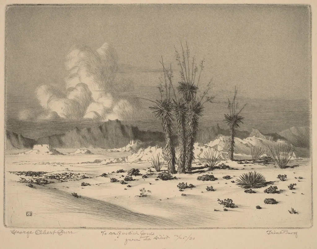 Evening, Arizona, by George Elbert Burr, ink, 1930