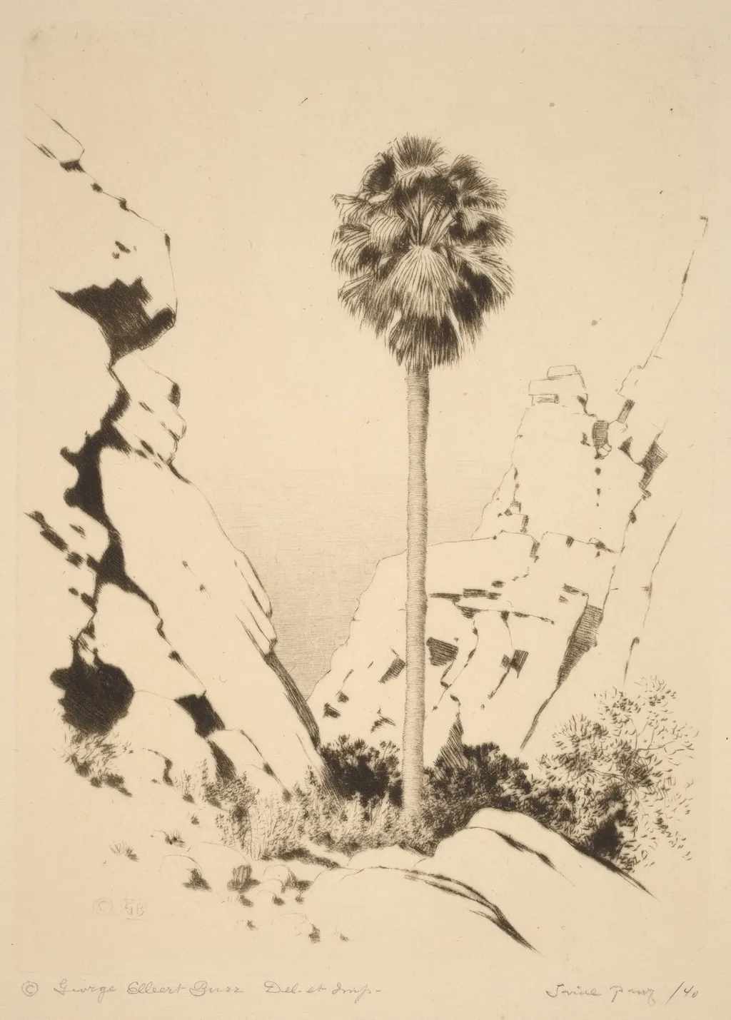 Palm Canyon (no.1), by George Elbert Burr, ink, 1920