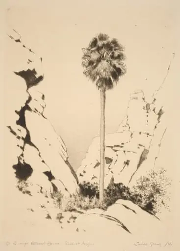 Palm Canyon (no.1), by George Elbert Burr