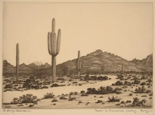 Road to Paradise Valley, Arizona, by George Elbert Burr