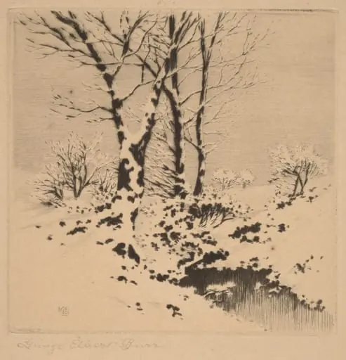 Snow, by George Elbert Burr