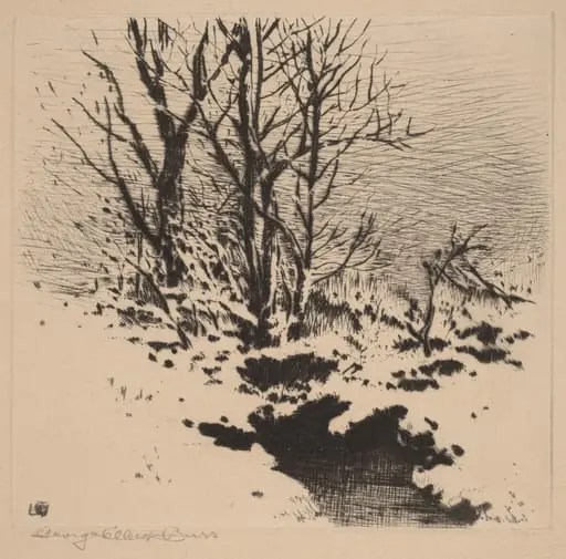 The First Snow (no.2), by George Elbert Burr