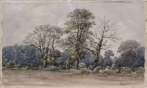 Trees at Perry Bar, near Birmingham, by George FSA Wallis