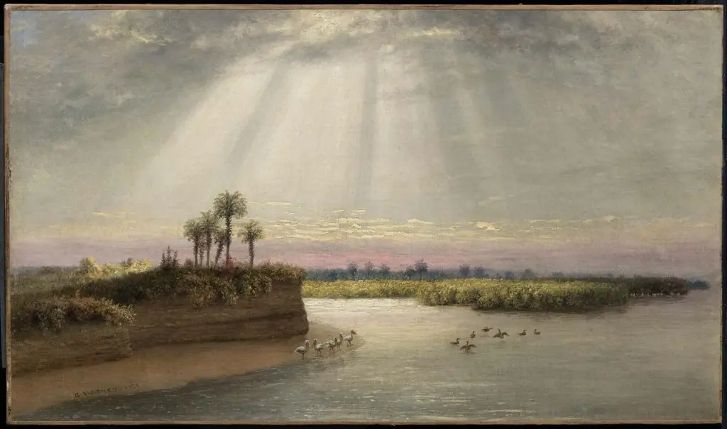 White Pelicans in Florida, by George Harvey