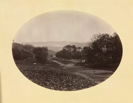 A Road in Williamstown, by George K. Warren