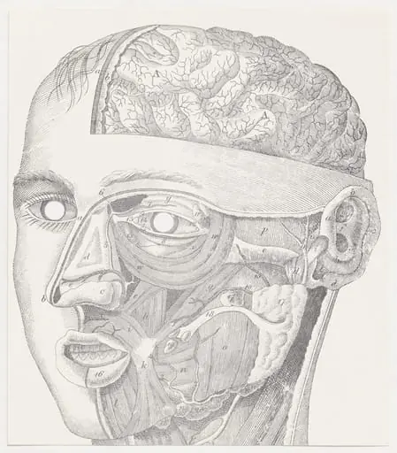 Untitled, by George Maciunas