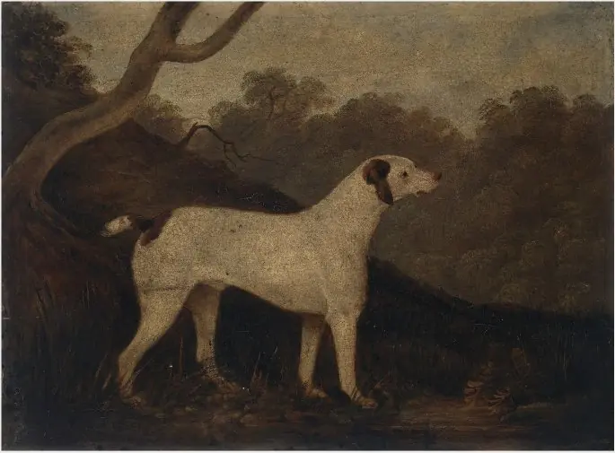George Nairn
