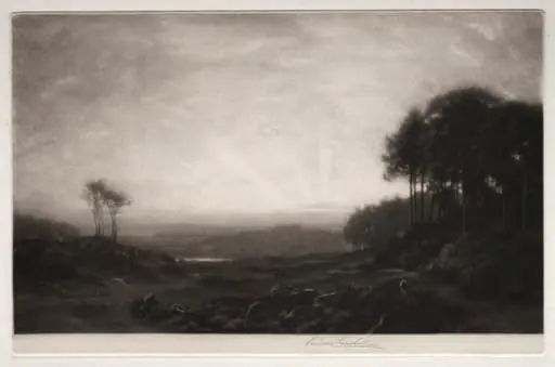Sunrise in the Clearing, by George Percival Gaskell