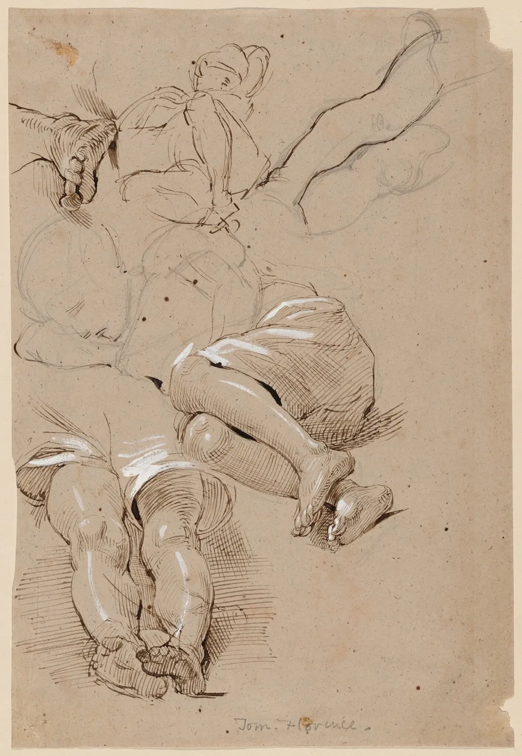 Tom -- Florence, by George Richmond, gouache, 1838