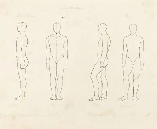 Extent of Motion, Front and Side View Equipoised, Supported on One Leg