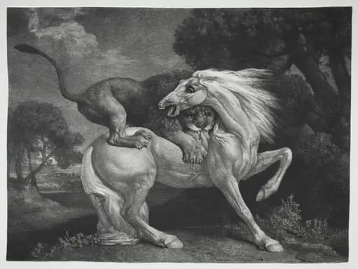 A Horse Attacked by a Lion, by George Stubbs