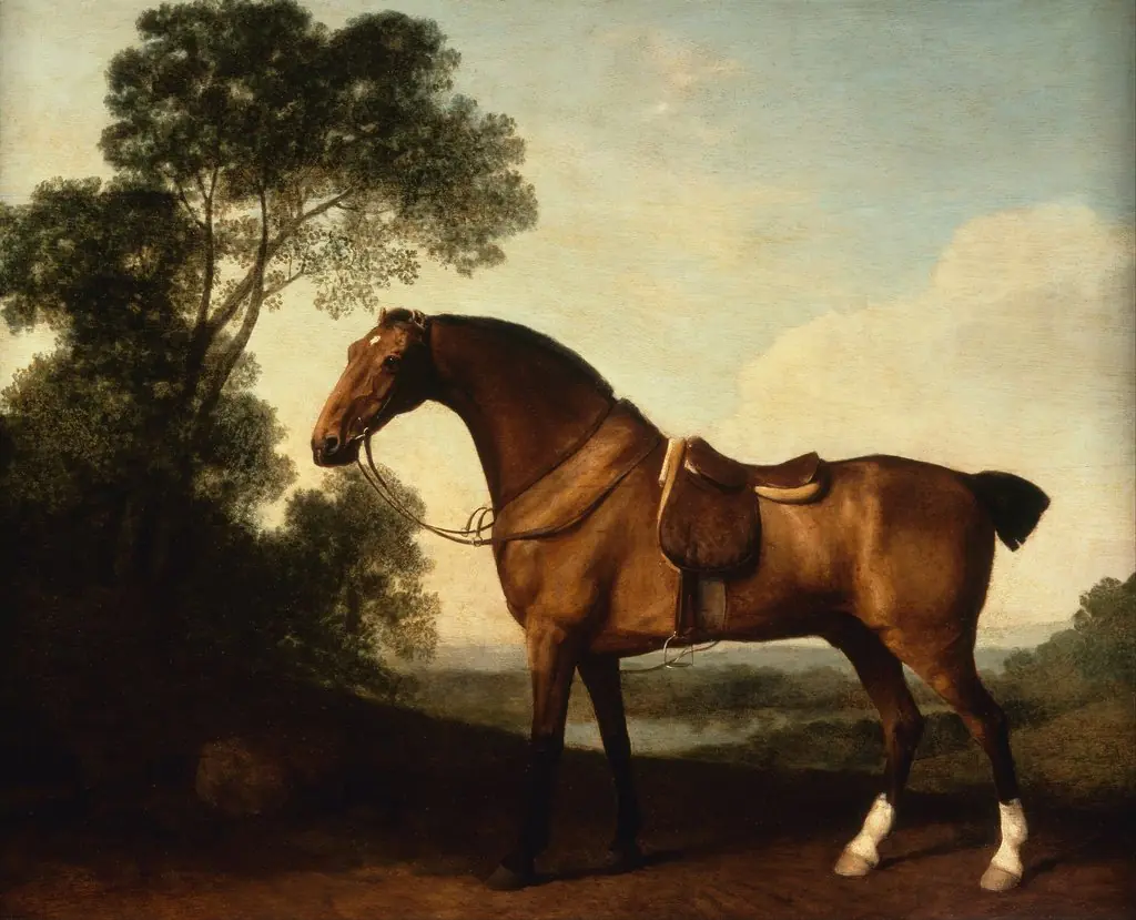 A Saddled Bay Hunter, by George Stubbs