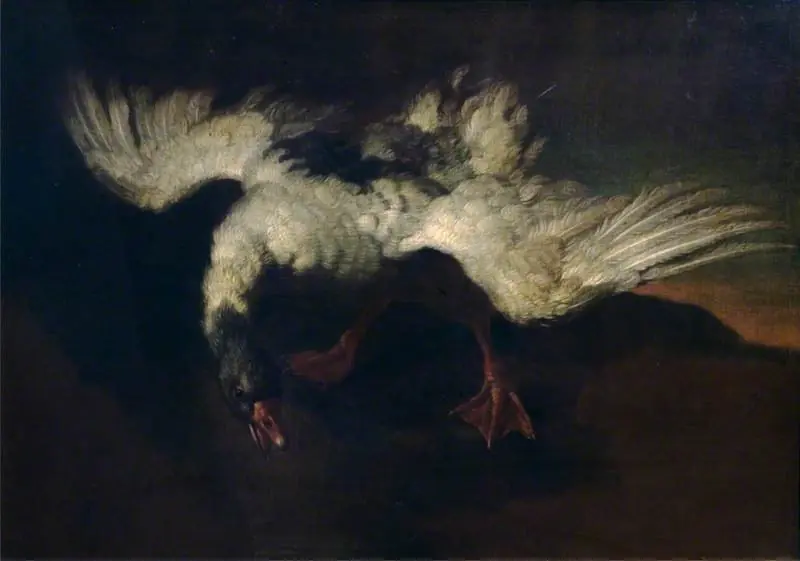 Goose with Outspread Wings, by George Stubbs
