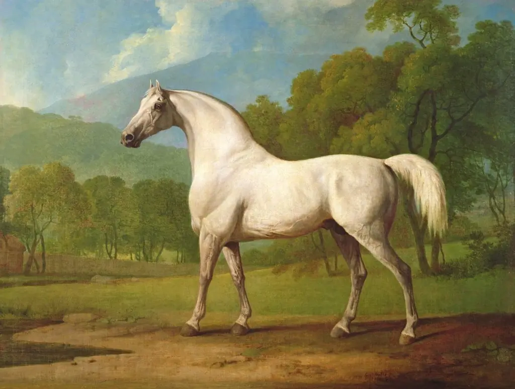 Mambrino, by George Stubbs
