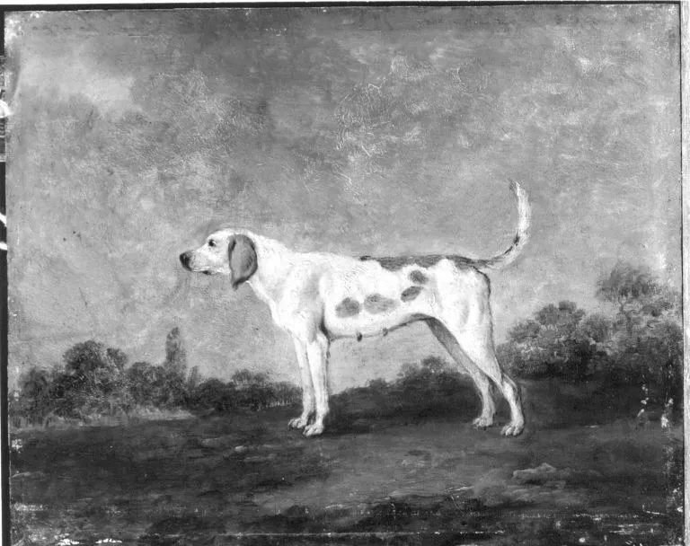Hundestück, by Georges-Frédéric Meyer, unspecified, 1757