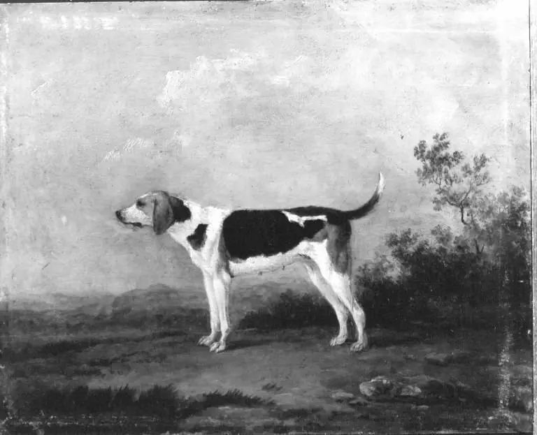 Hundestück, by Georges-Frédéric Meyer