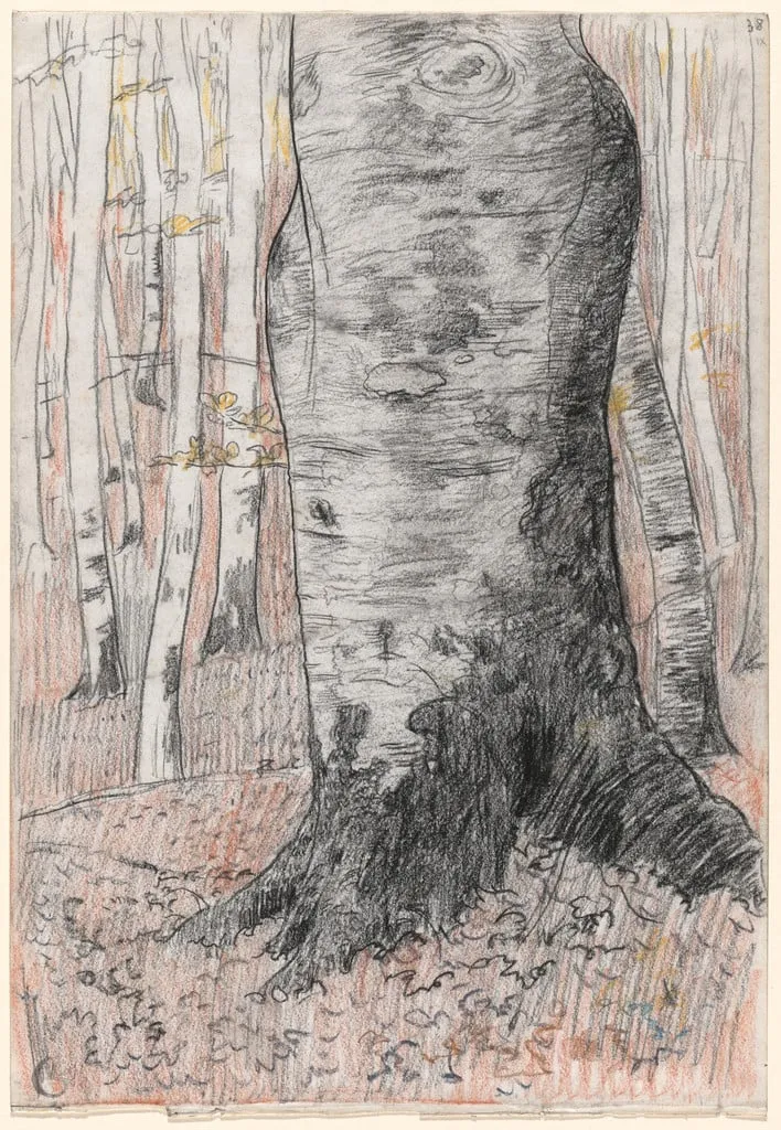 Untitled, by Georges Lacombe, charcoal, 1898