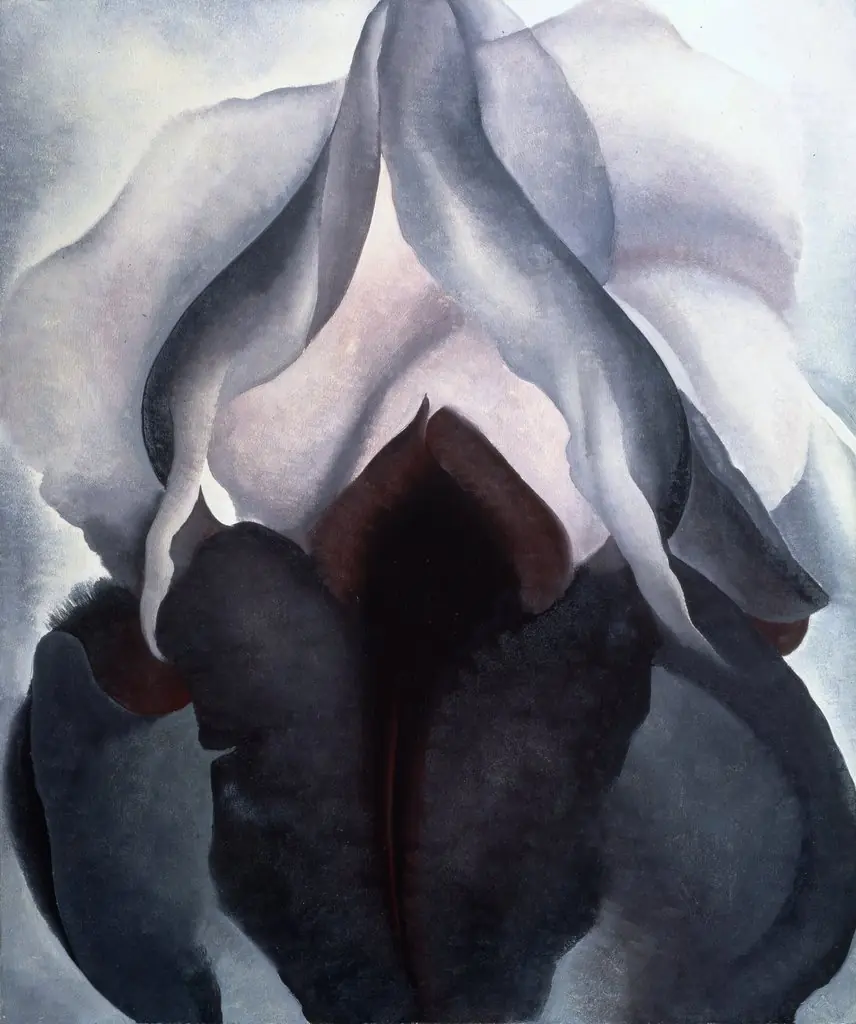 Black Iris, by Georgia O'Keeffe