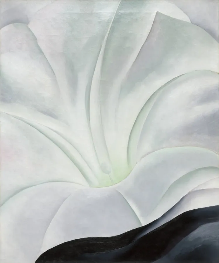 Morning Glory with Black, by Georgia O'Keeffe, unspecified, 1926