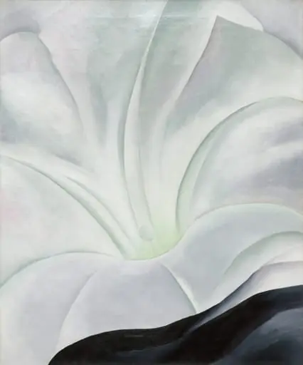 Morning Glory with Black, by Georgia O'Keeffe