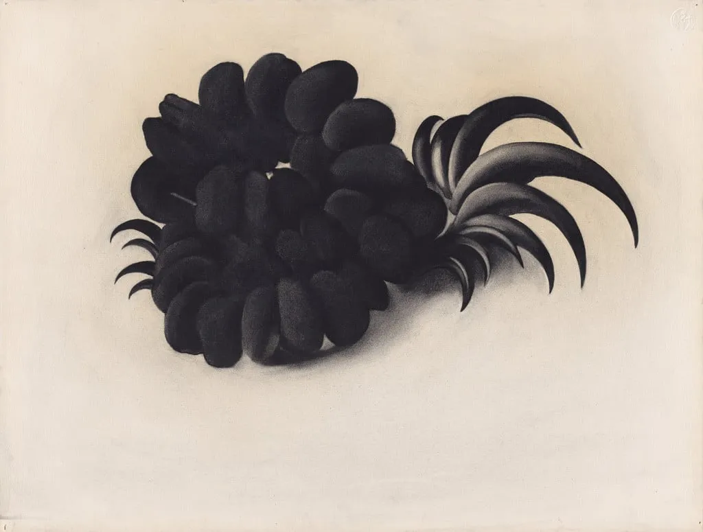 Untitled, by Georgia O'Keeffe, charcoal, 1934