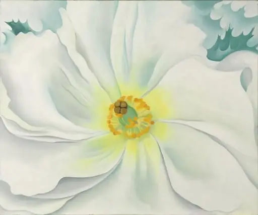 White Flower, by Georgia O'Keeffe