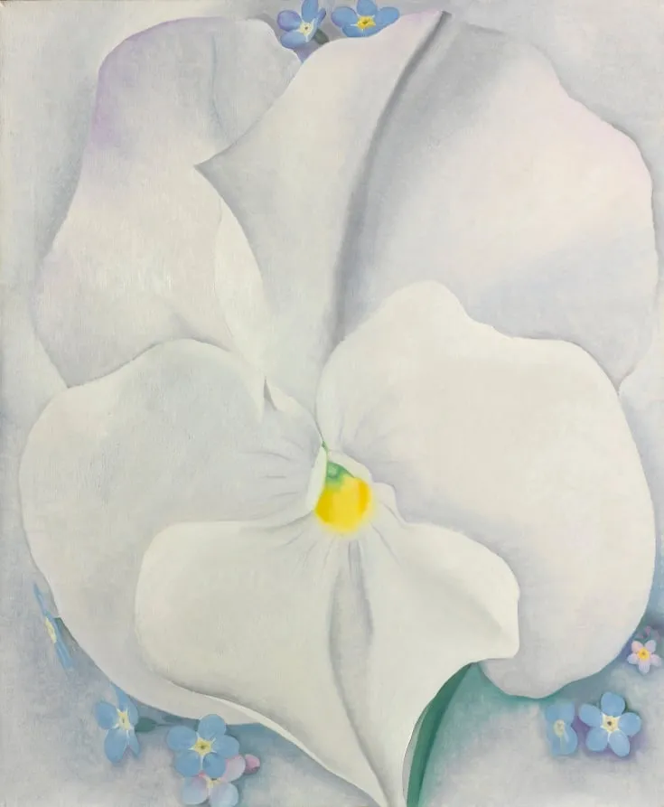 White Pansy, by Georgia O'Keeffe, unspecified, 1927