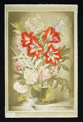 Striped Lily, by Gerald Cooper