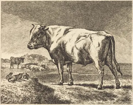 Cow, by German 19th Century