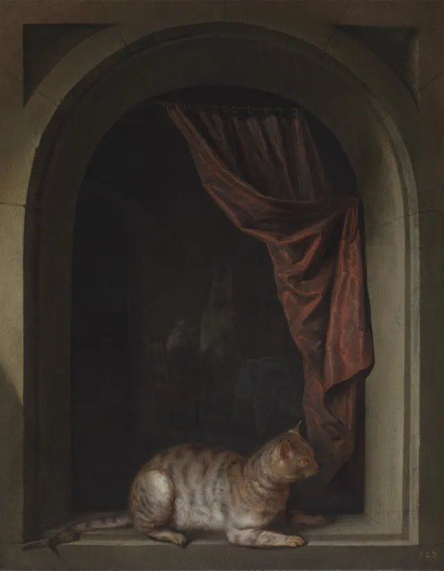 Cat on a Ledge, by Gerrit Dou