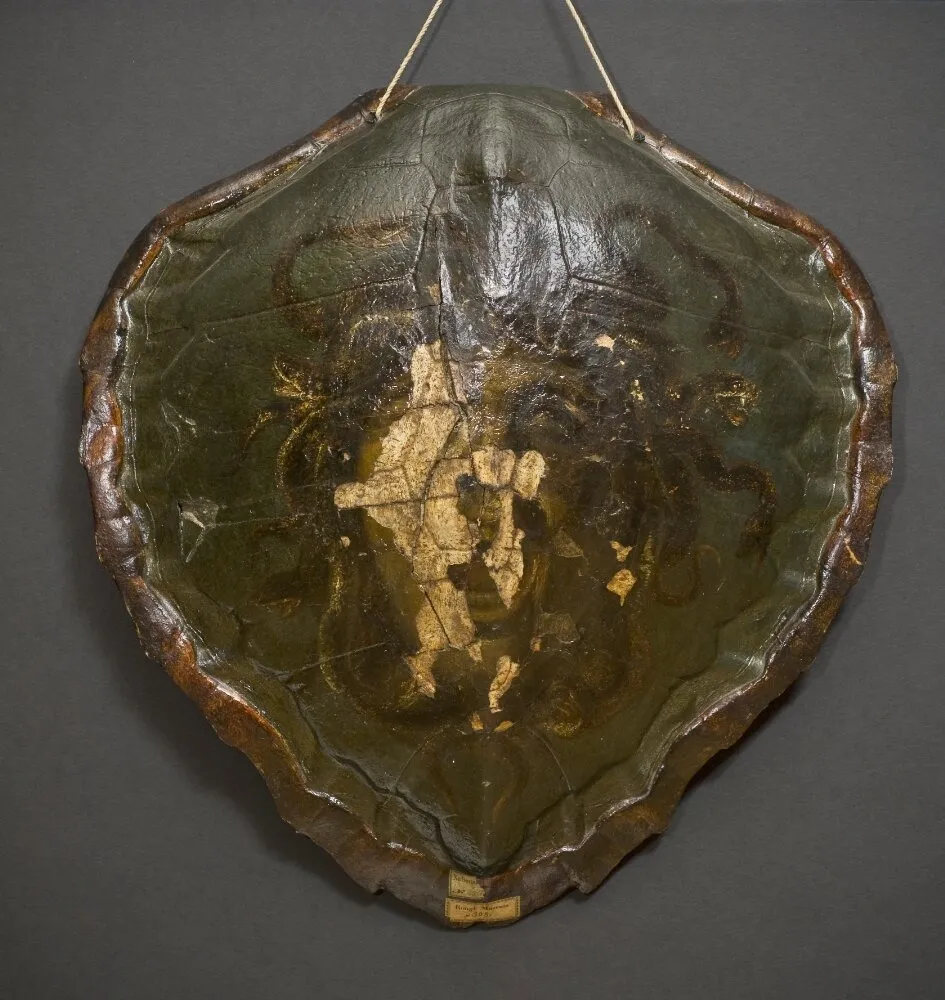 Head of Medusa, by Giacinto Calandrucci, unspecified, 1686
