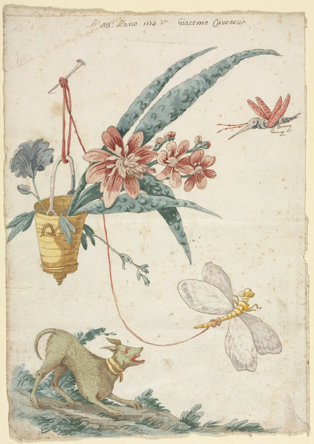 Floral Design with Dog and Insects, by Giacomo Cavenezia, 1774