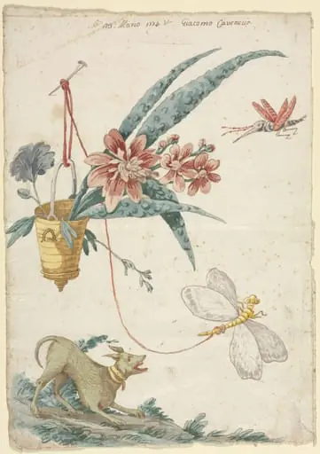 Floral Design with Dog and Insects, by Giacomo Cavenezia