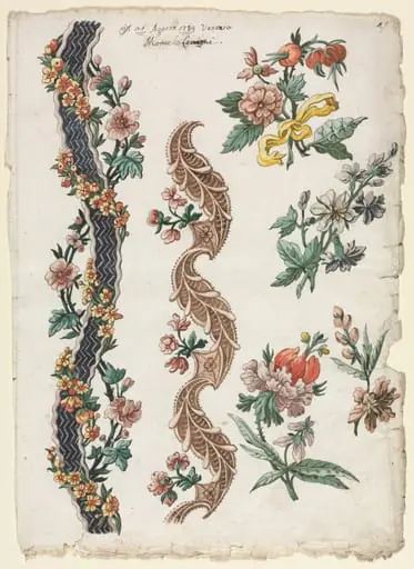 Floral Designs and Floral Bands, by Giacomo Cavenezia