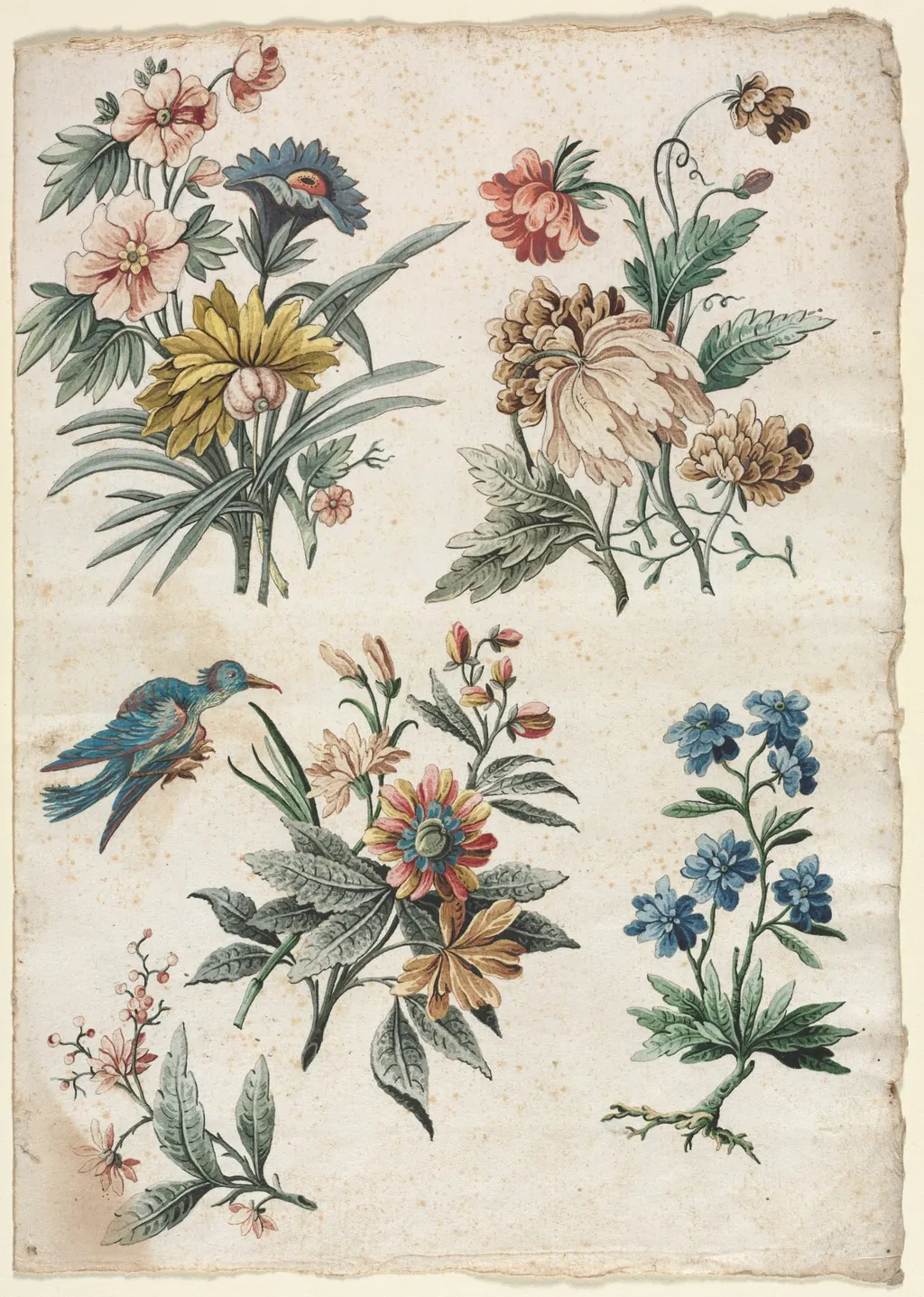 Floral Designs with a Blue Bird, by Giacomo Cavenezia, 1774