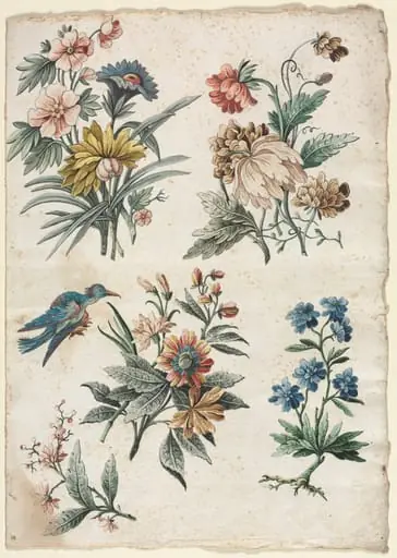 Floral Designs with a Blue Bird, by Giacomo Cavenezia