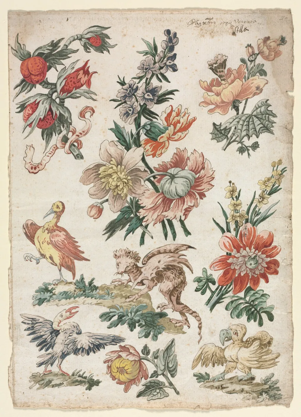 Floral Designs with Birds and Griffon, by Giacomo Cavenezia, 1784