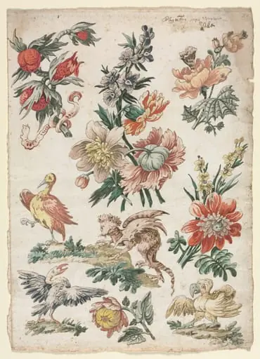 Floral Designs with Birds and Griffon, by Giacomo Cavenezia