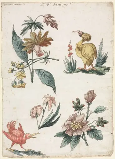 Floral Designs with Two Birds, by Giacomo Cavenezia