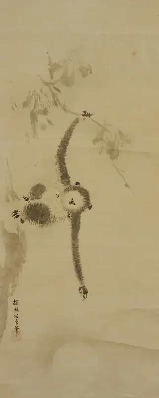 Gibbon