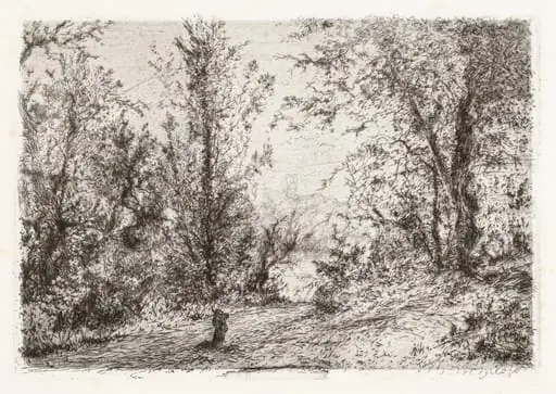 Forest on Lago Maggiore [Foresta sul Lago Maggiore], by Giberto Borromeo