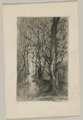 Woodland with a Stream Running Through, by Giberto Borromeo