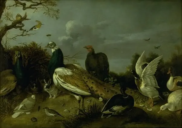 Peacocks, Ducks and other Animals, by Gijsbert d'Hondecoeter