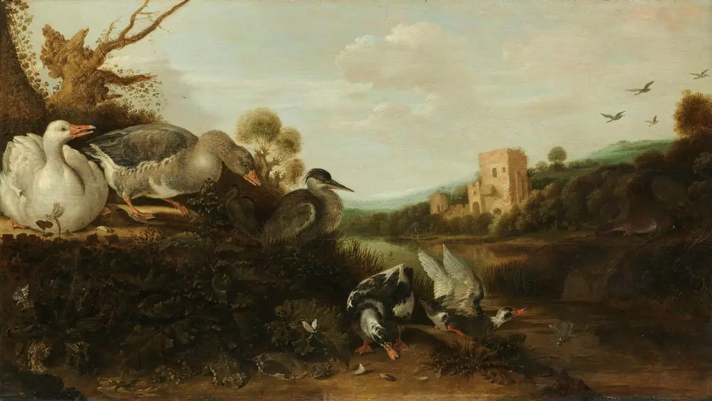 Waterfowl, by Gijsbert d'Hondecoeter